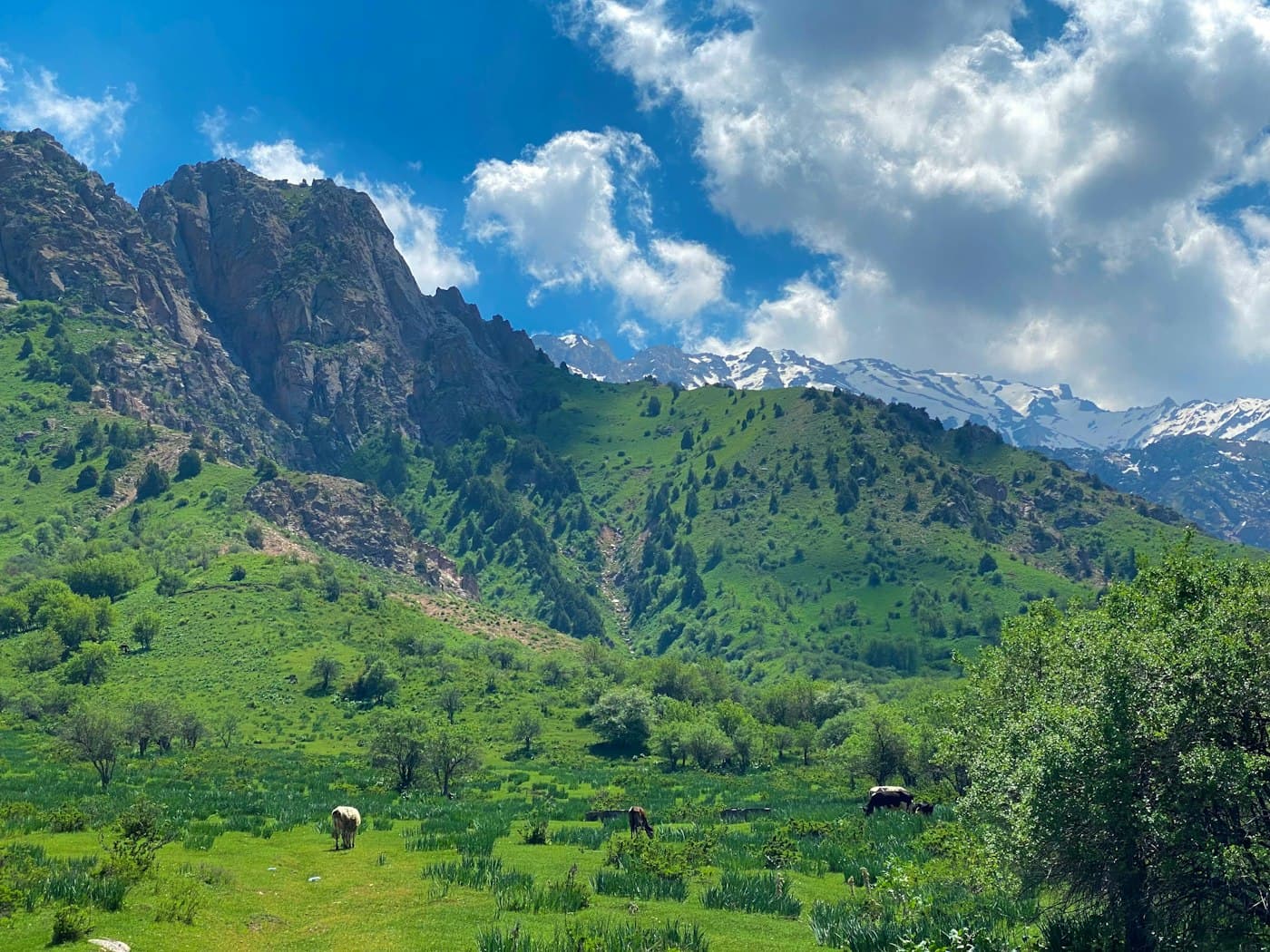 Горный ландшафт Чимгана